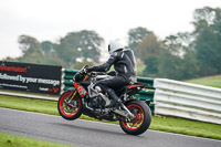 Advanced Group Silver_Grey Bikes